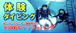 講習お申し込みで5000円キャッシュバック・体験ダイビング